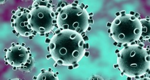 oito-casos-de-coronavirus-estao-confirmados-no-brasil-201408-article